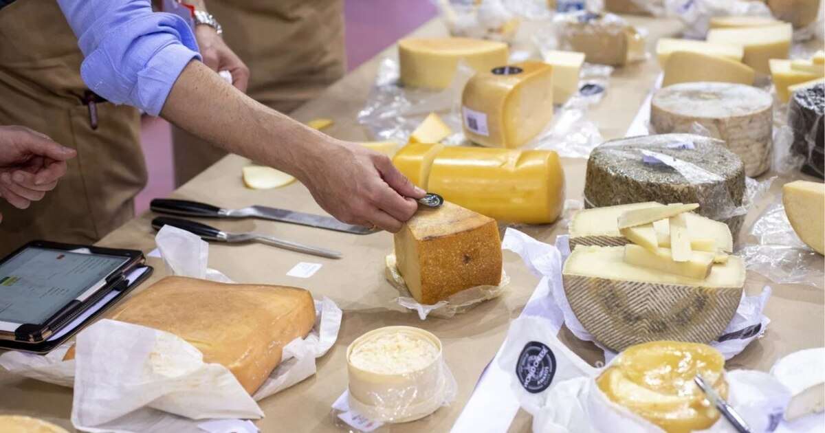 The Traditional Cheddar Cheese Making Process