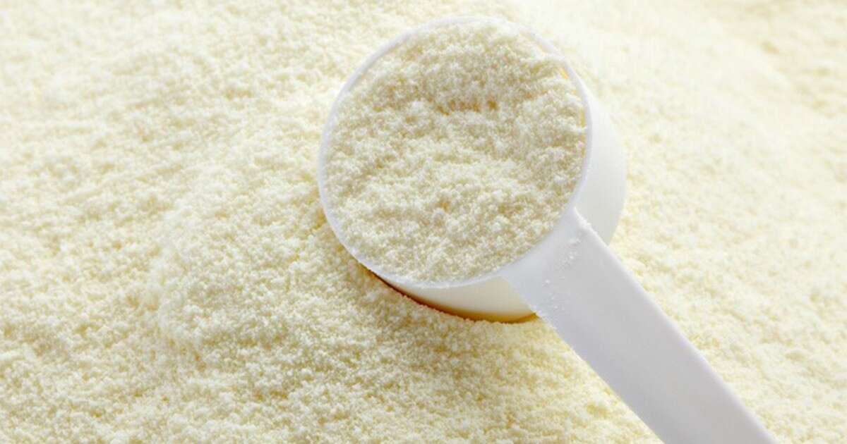 What Is Skimmed Milk Powder